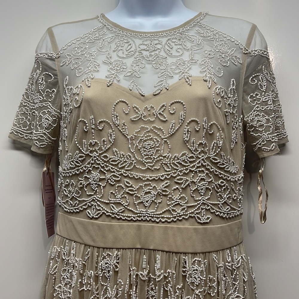 - BHLDN Ruby Dress Beaded Gown - Picture 11 of 11